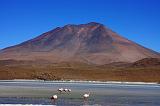 BOLIVIA 2 - Ruta de Las Joyas - Laguna Hedionda - Flamencos - 13